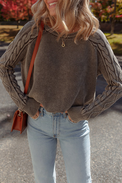 Contrast Cable Knit Sleeve Casual Sweater